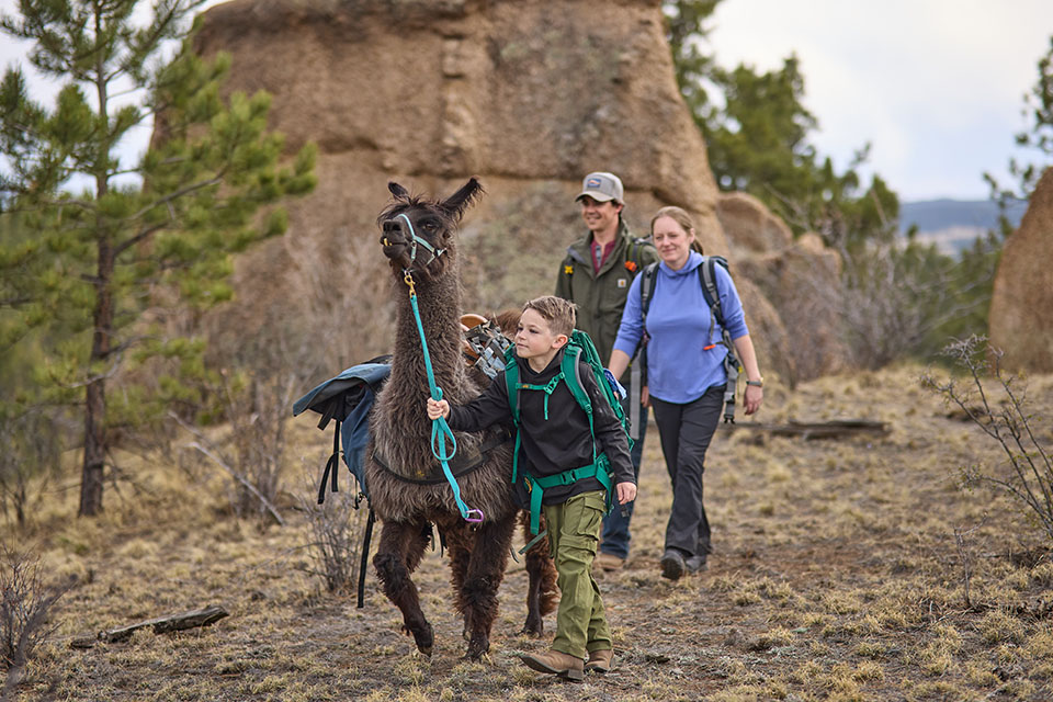 Rural 1st customers in Colorado hike on their rural homestead with son and llama.