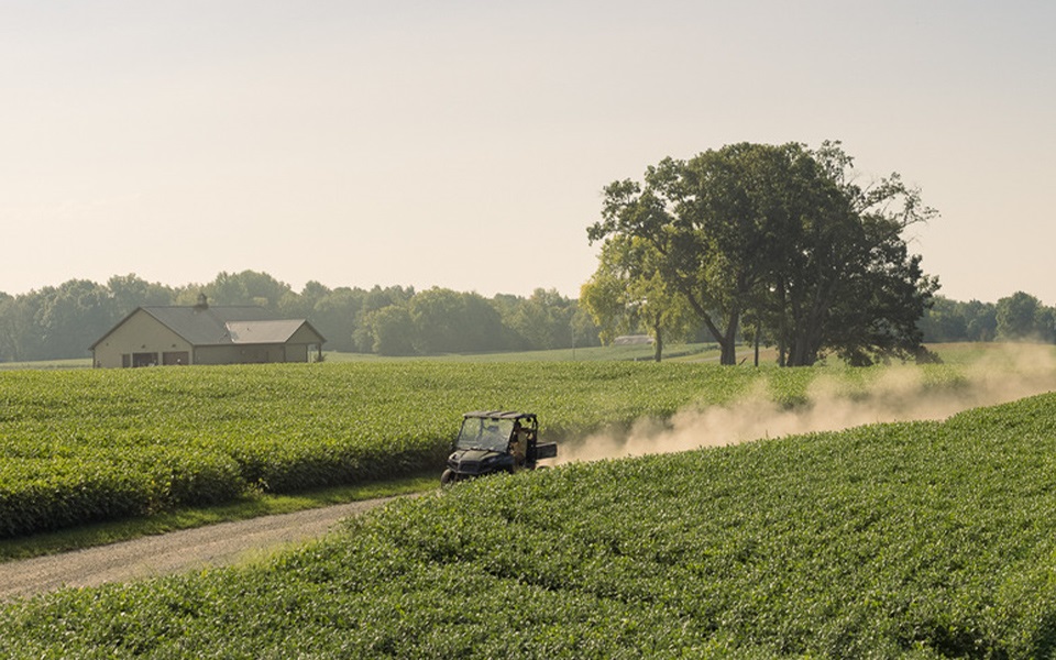 A utility vehicle driving down a rural road between farm fields in Tennessee.