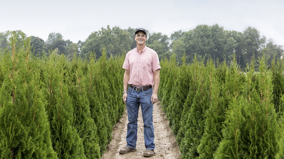 Man standing between rows of trees.