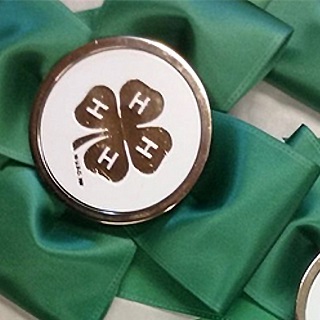 4-H ribbon.