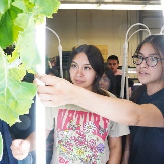 Two girls point to a green plant.