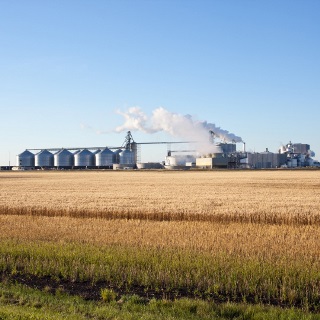 Ethanol plant.